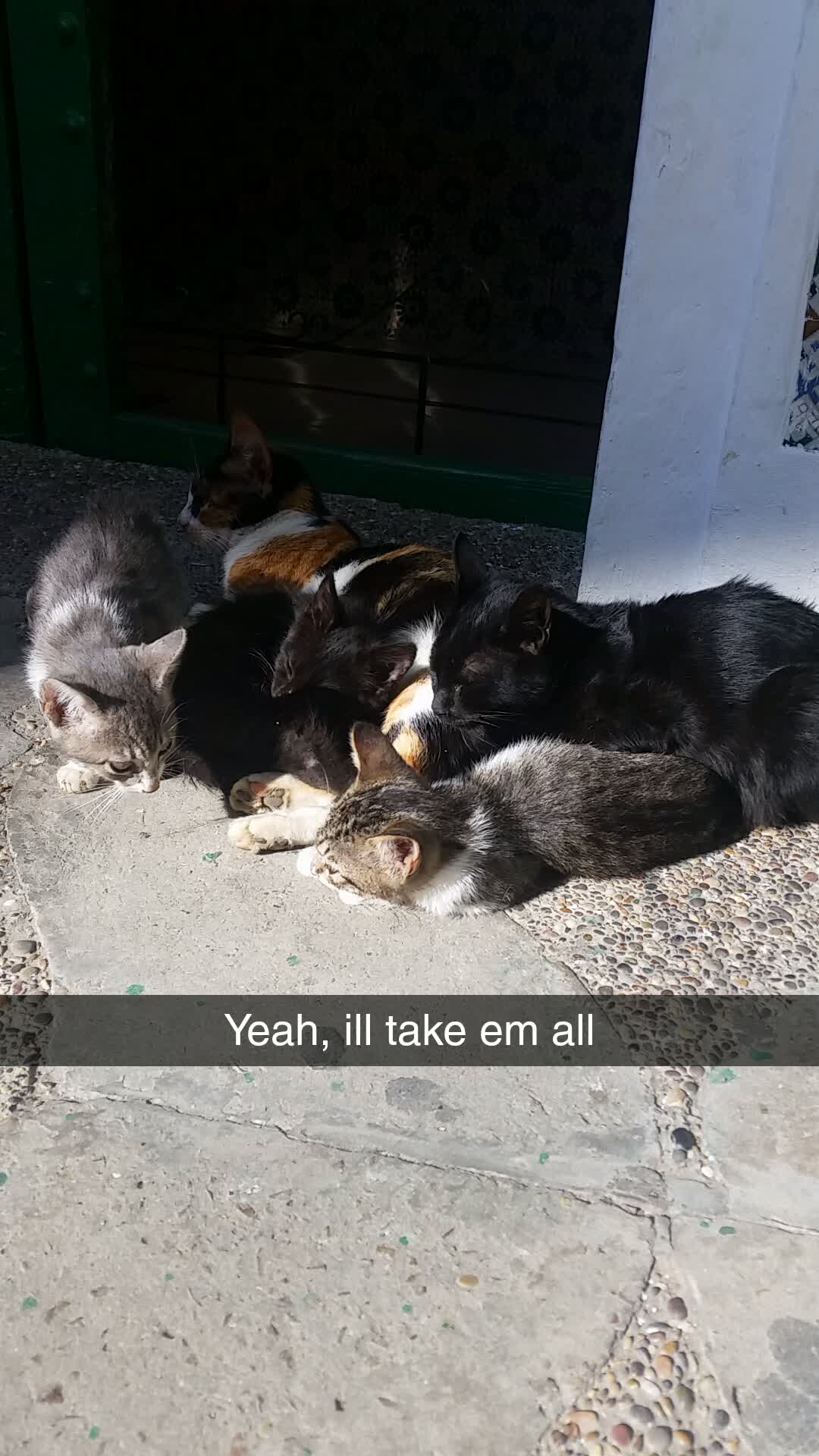 How to Fix Broken Snapchat Exports: Missing Dates, Wrong Timestamps & Overlay Issues (2025)